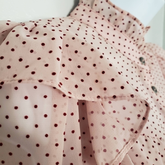 Zara Women's Small Sheer Light Pink Long Sleeve Blouse Red Velvet Polka Dots Top - Picture 2 of 9